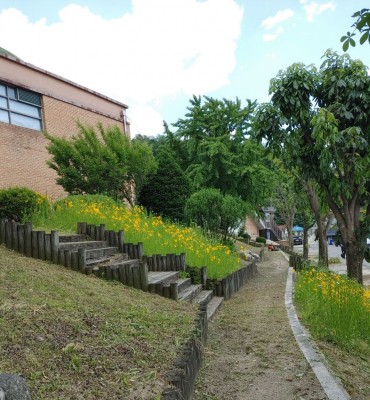경기 초등학교 예초(2024.5.31…